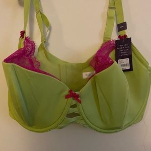 Cacique bra.